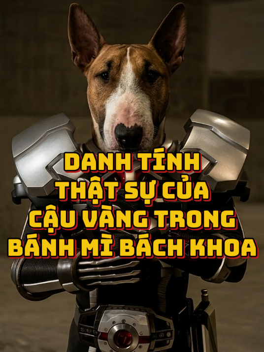 @NGUYEN_PHUC