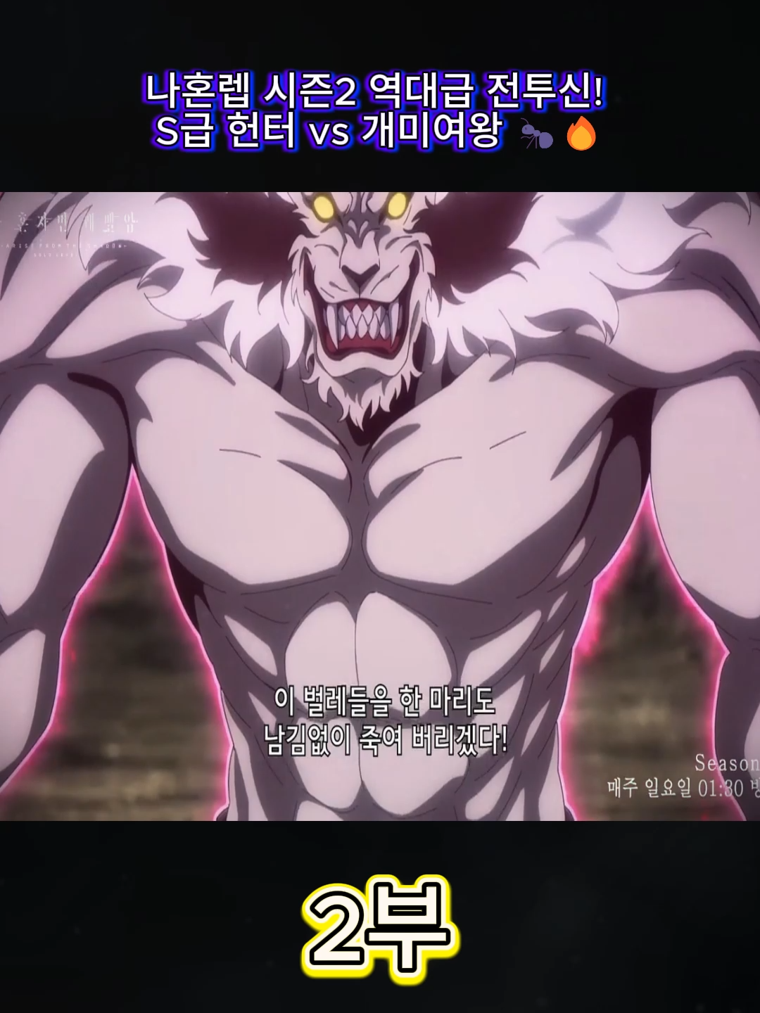 @닌자 액션