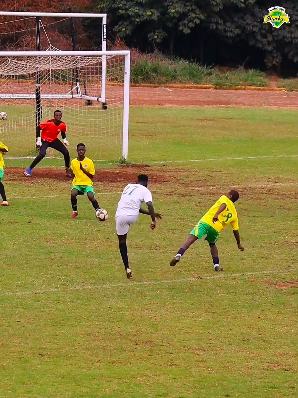 @Kariobangi Sharks FC