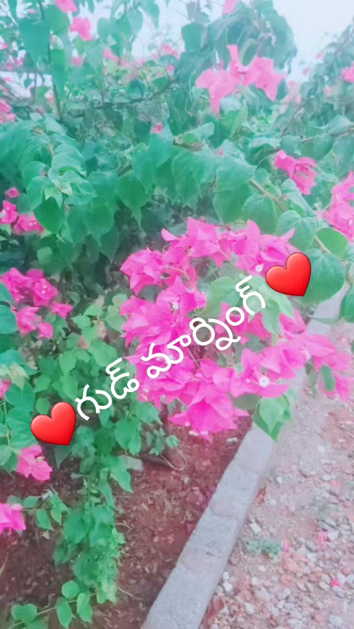@❤️❤️❤️❤️❤️
