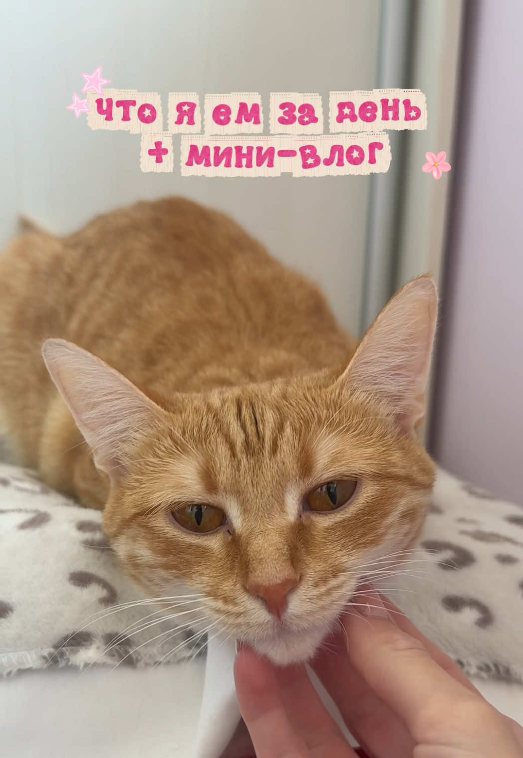 @сахарный человечек