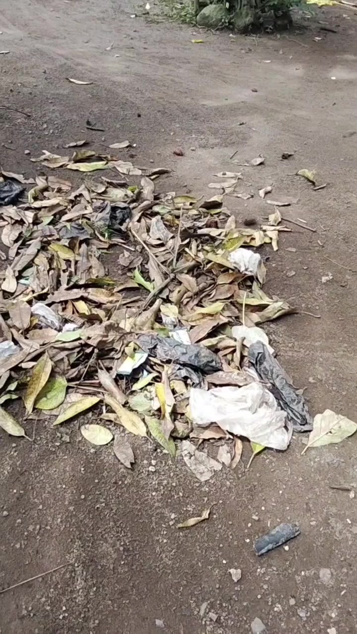 @Vera saja