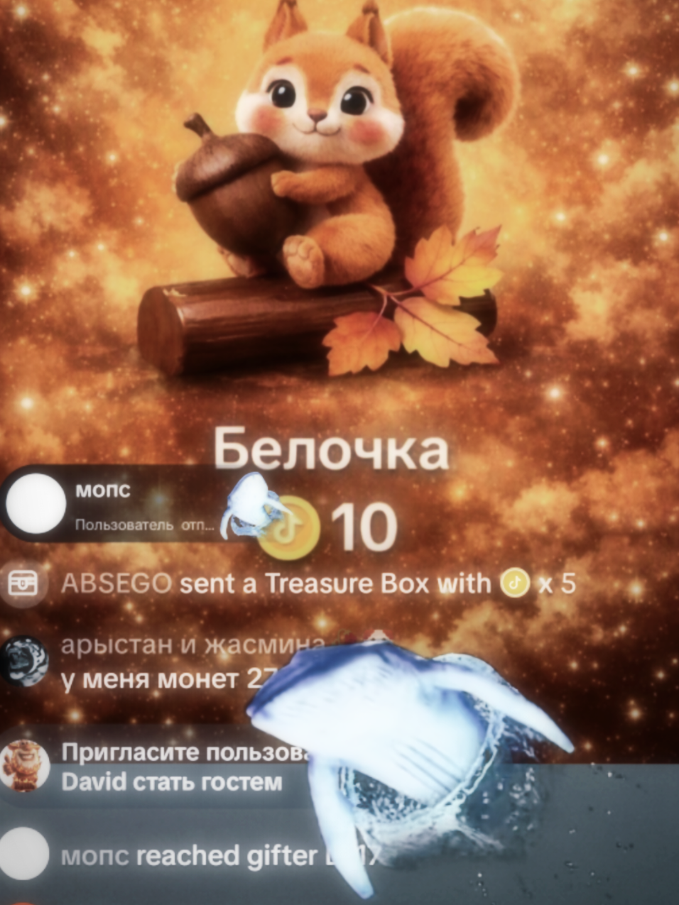 @ABSEGO