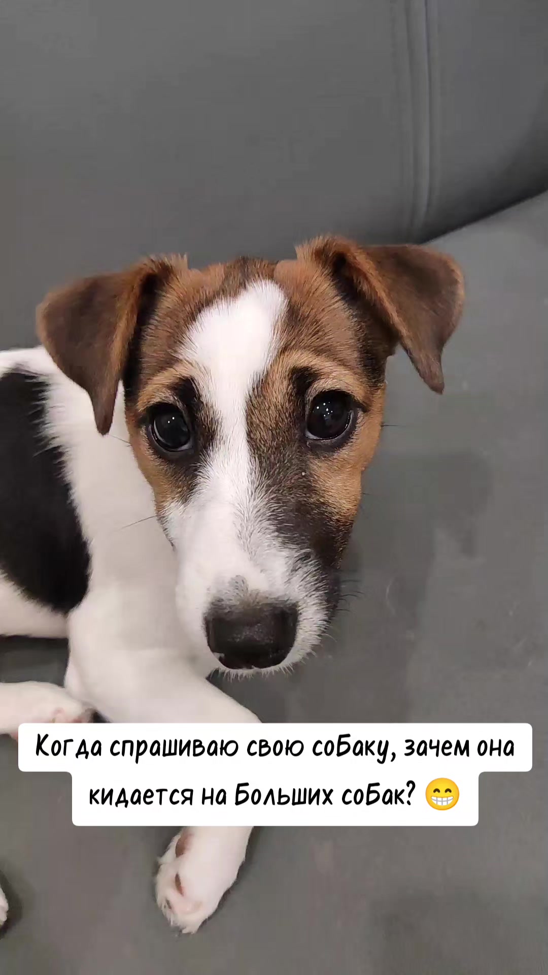 @🇷🇺Радион🇷🇺