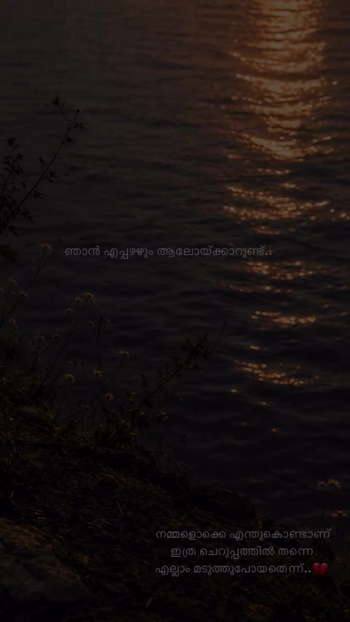 @Afrina