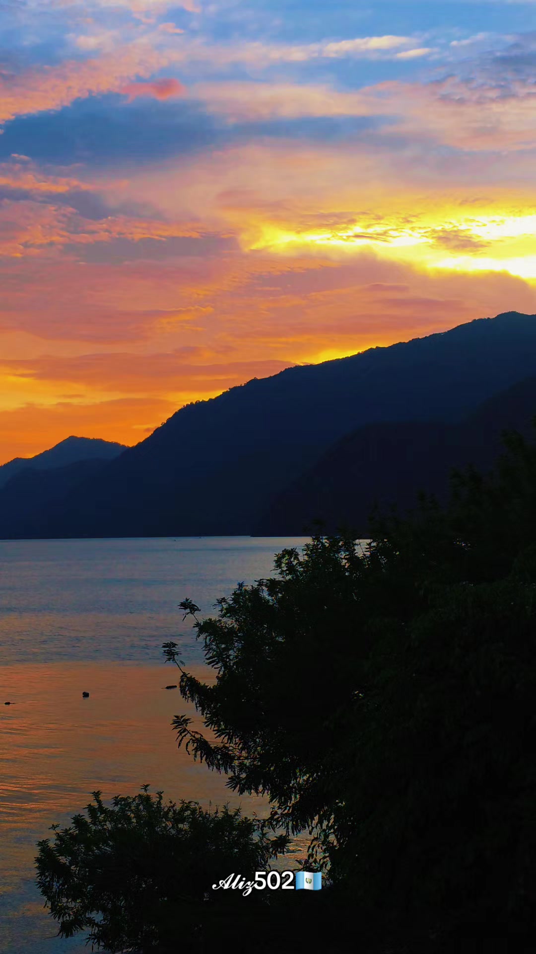 @𝒜𝓁𝒾𝓏502🇬🇹🌅