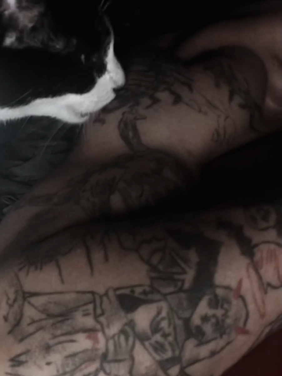 @luiismes