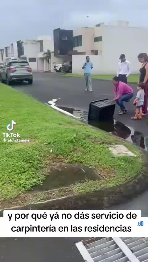 @Carlos Martínez barnizador