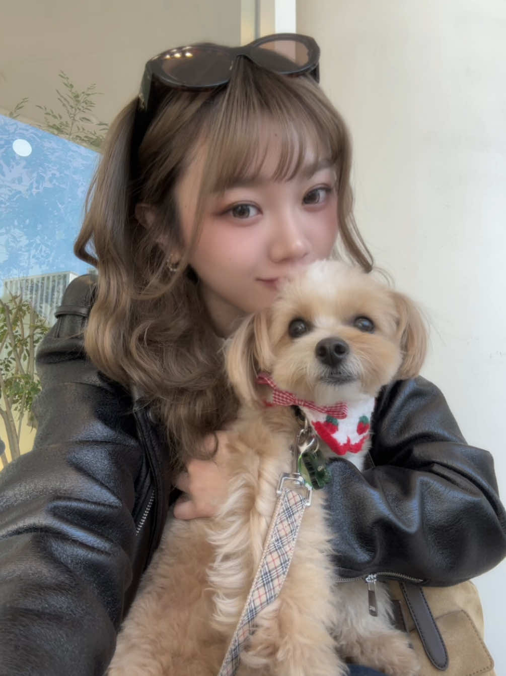 @遥梨
