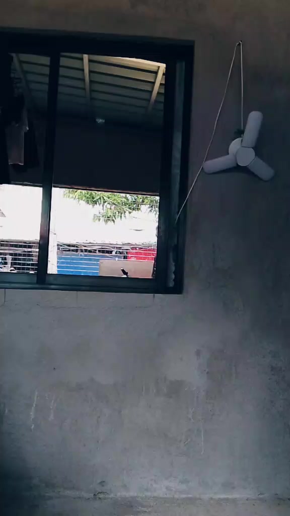 @Belinda Lara
