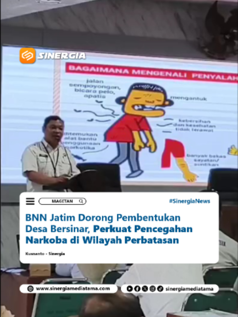 @SINERGIA MEDIATAMA