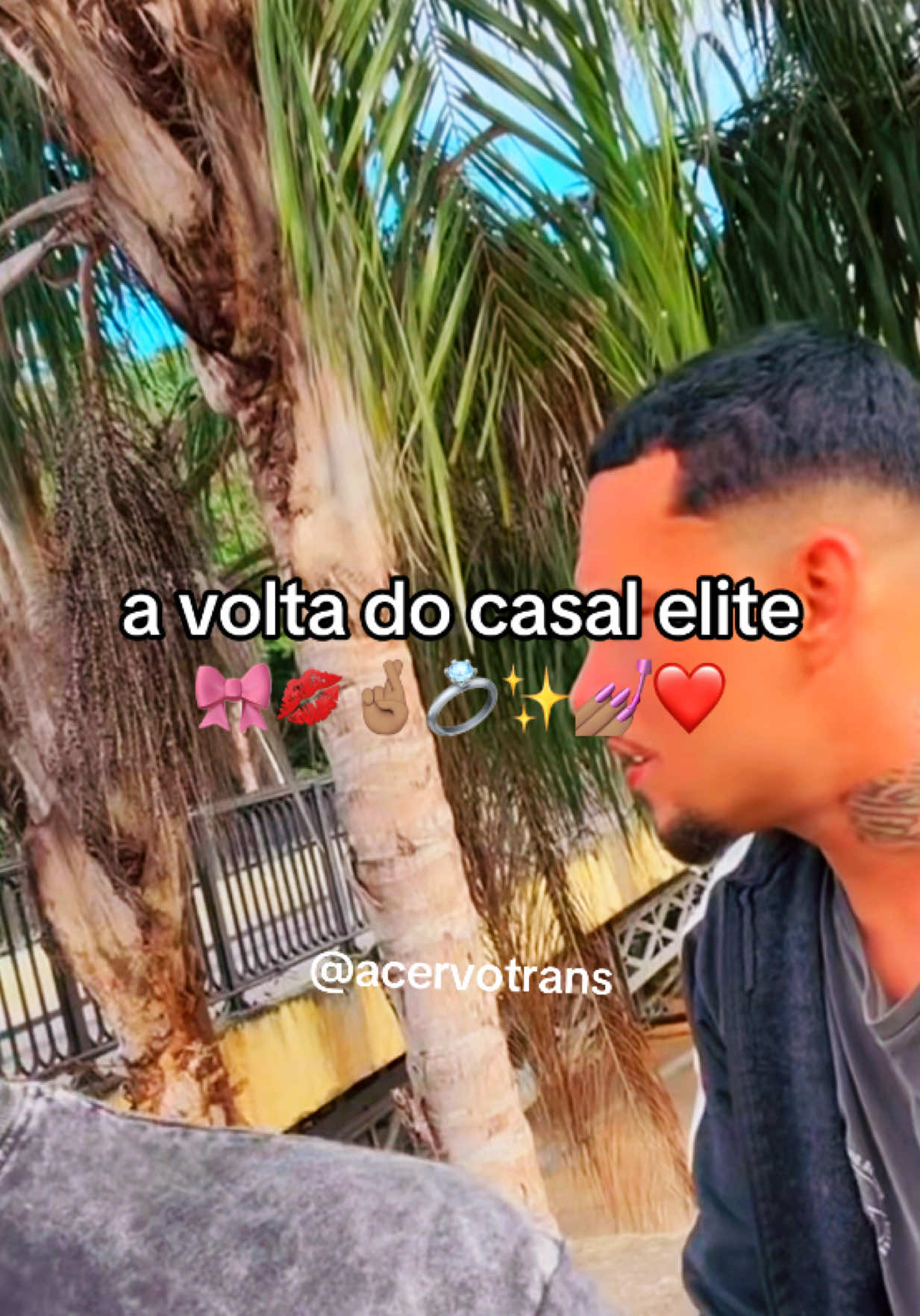 @acervotrans