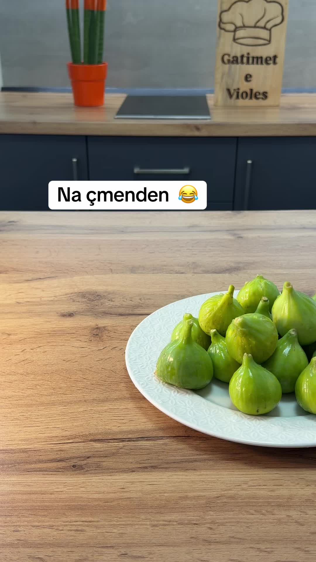 @gatimet.e.violes