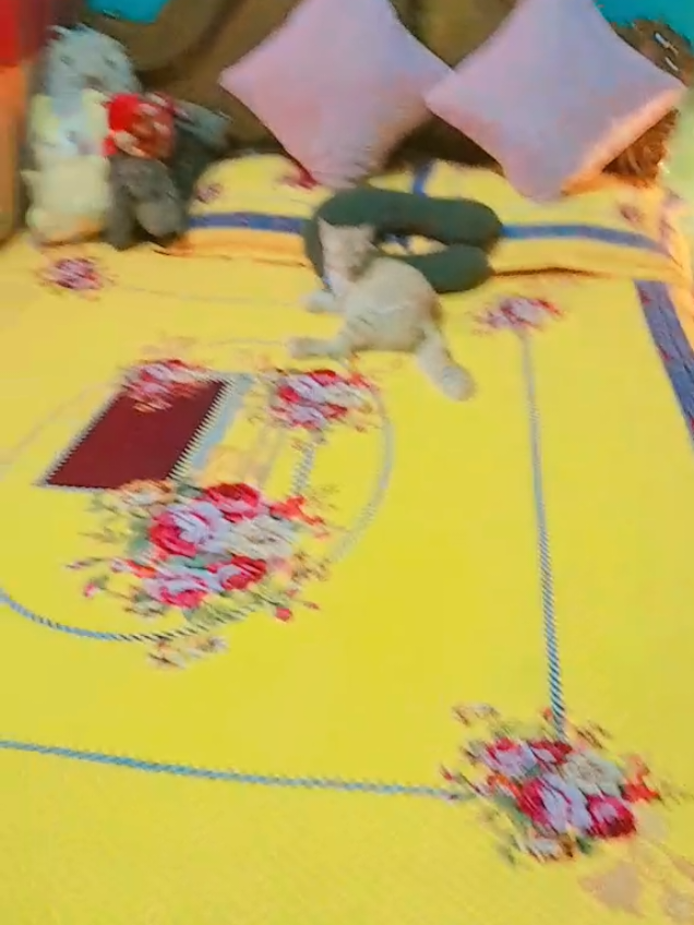 @đđ§ĄđāϏā§āϞāϤāĻžāύ āĻāĻā§āϤāĻžāϰ đđđ§Ą