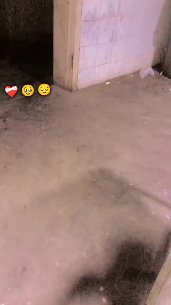 @𝑻𝑨𝑳𝑯𝑨𝑹𝑬𝑯𝑴𝑨𝑵🇸🇦🇵🇰