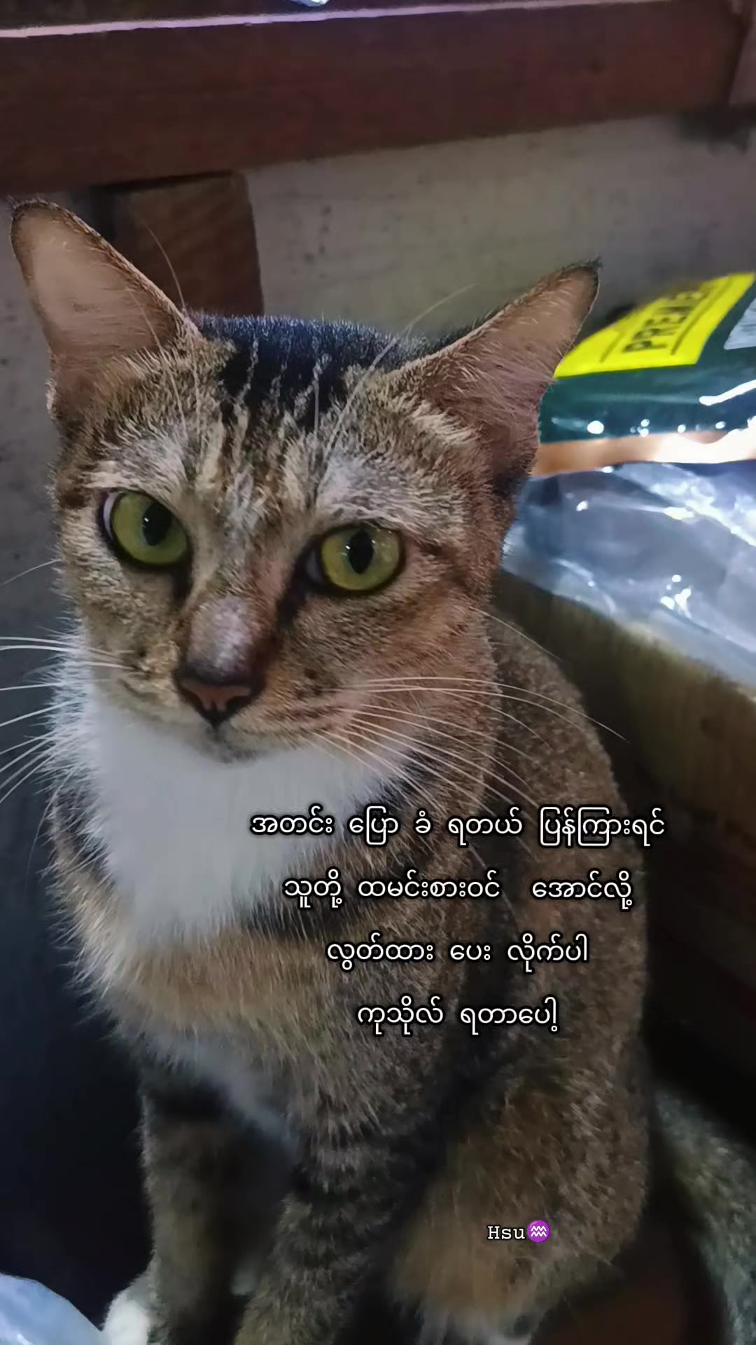 @โ๐ค๐ฆ โ๏ธโ