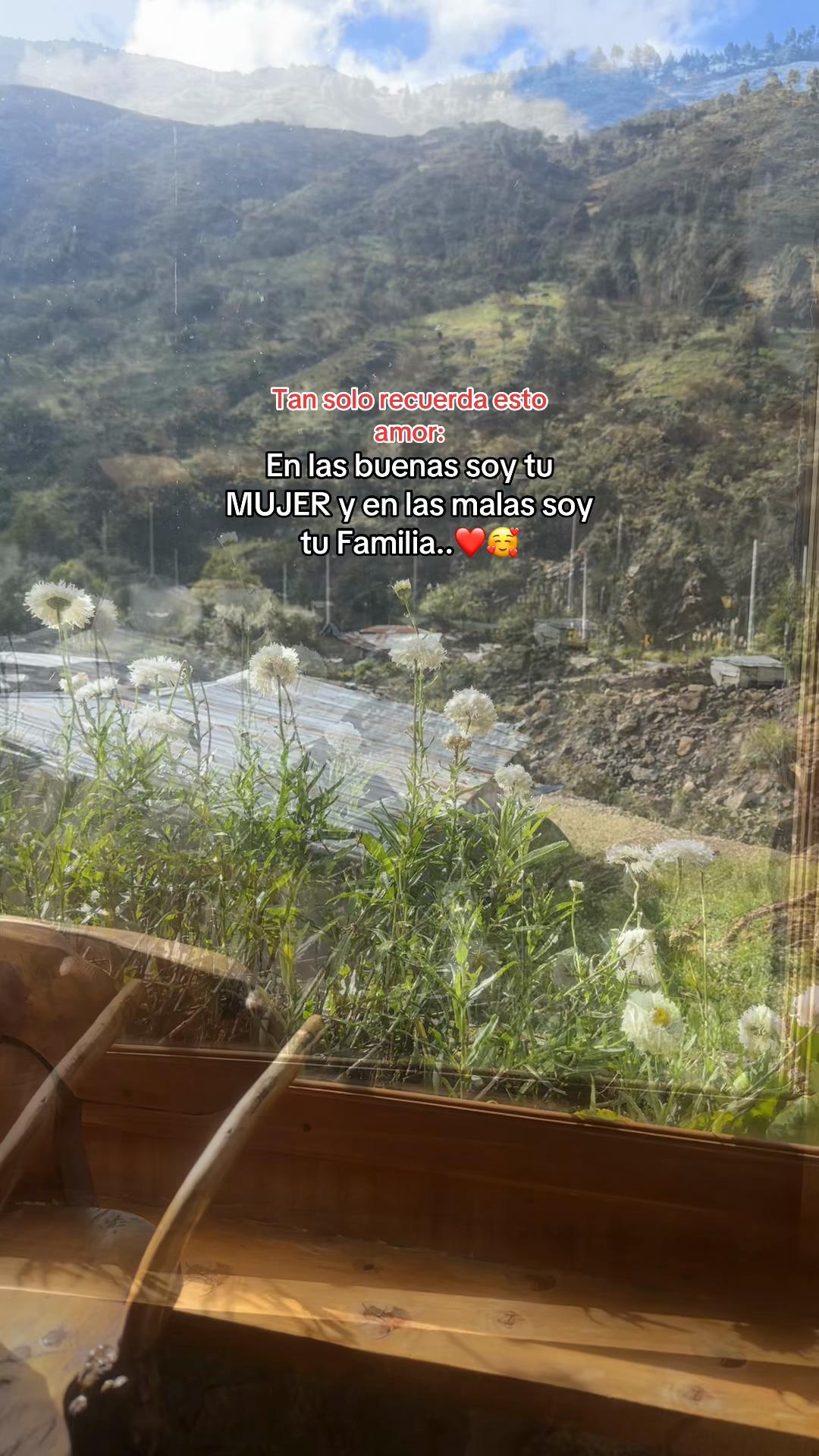 @🦋 Liaa 🦋