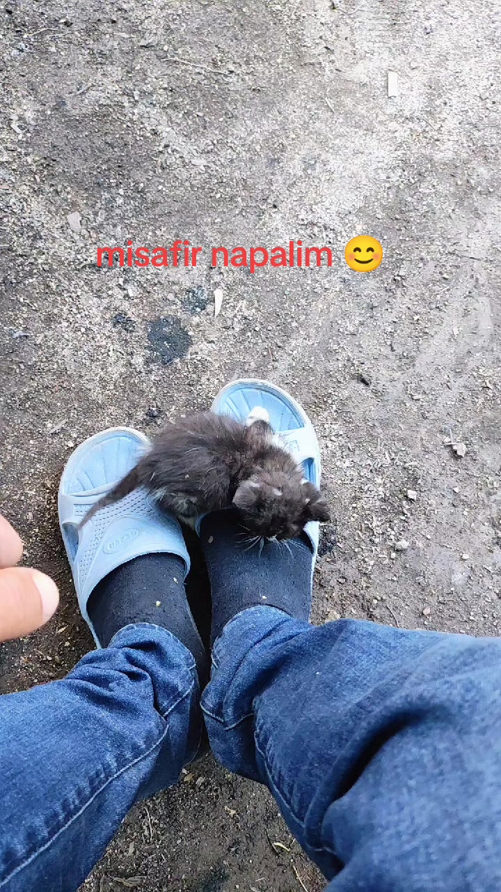 @ALİ DENİZ