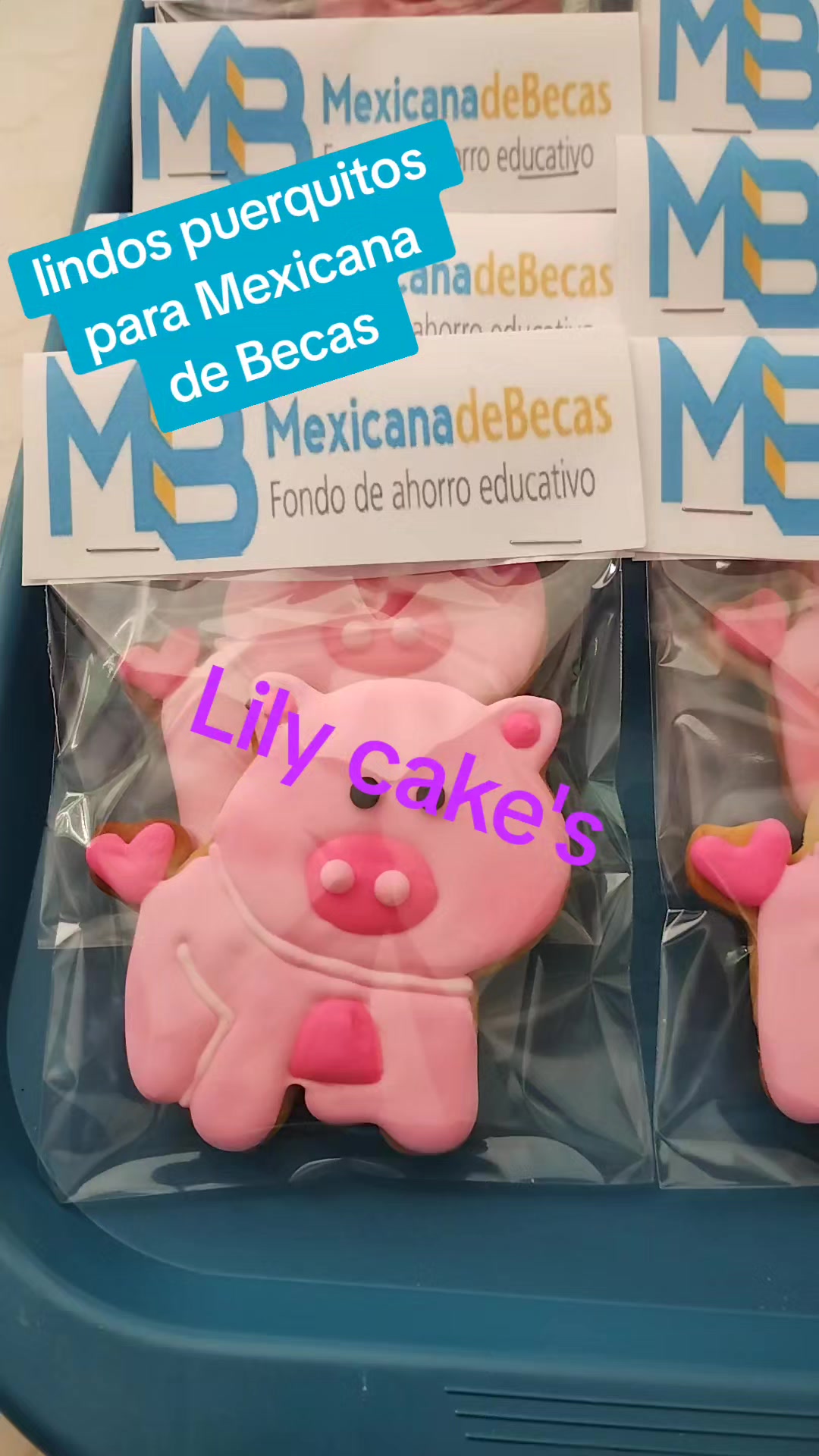 @lily cakes
