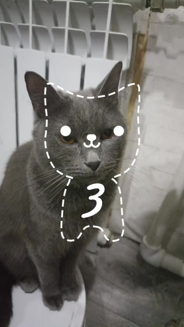 @ksunyapups
