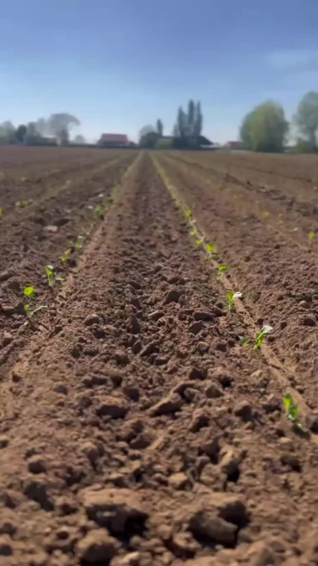 @Agriplant