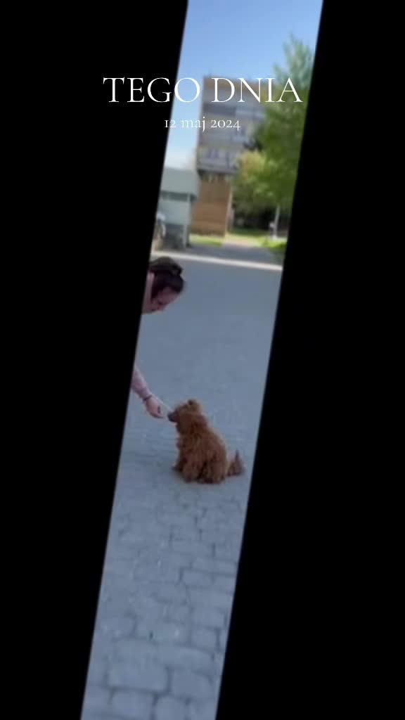 @đĽđđđĽđĽđđ âđđđ đ˝âđđĽ