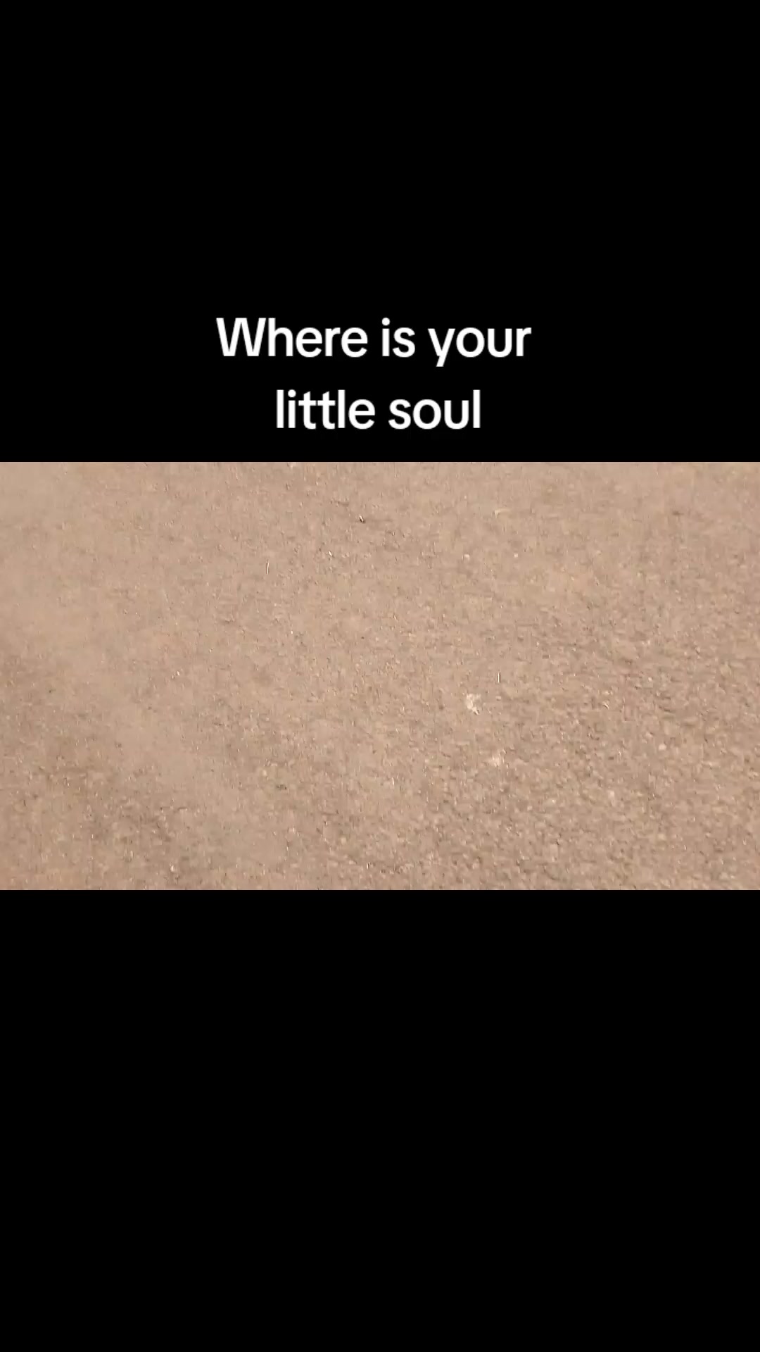 @Fake.case