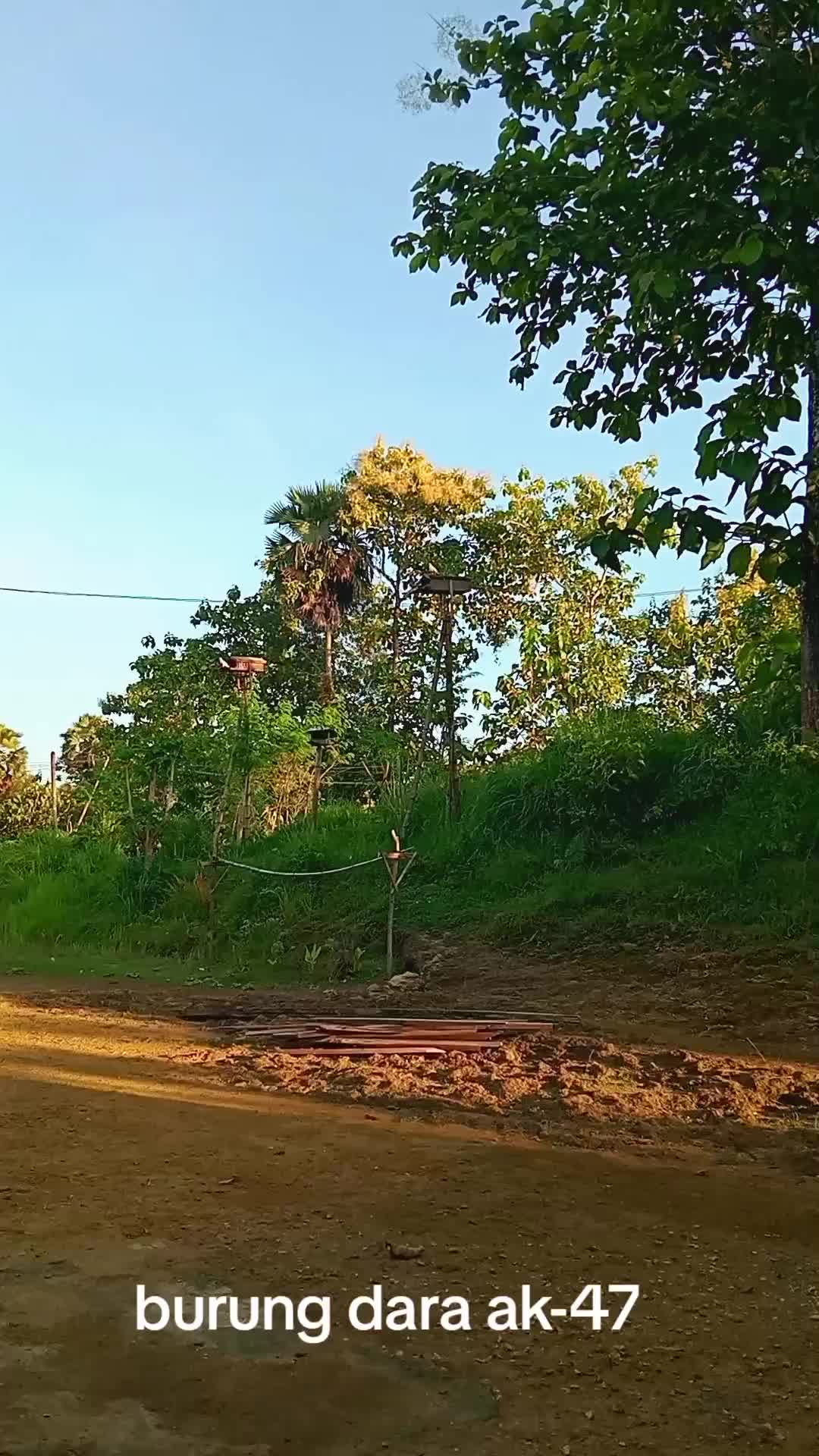 @Mahrus Wijaya