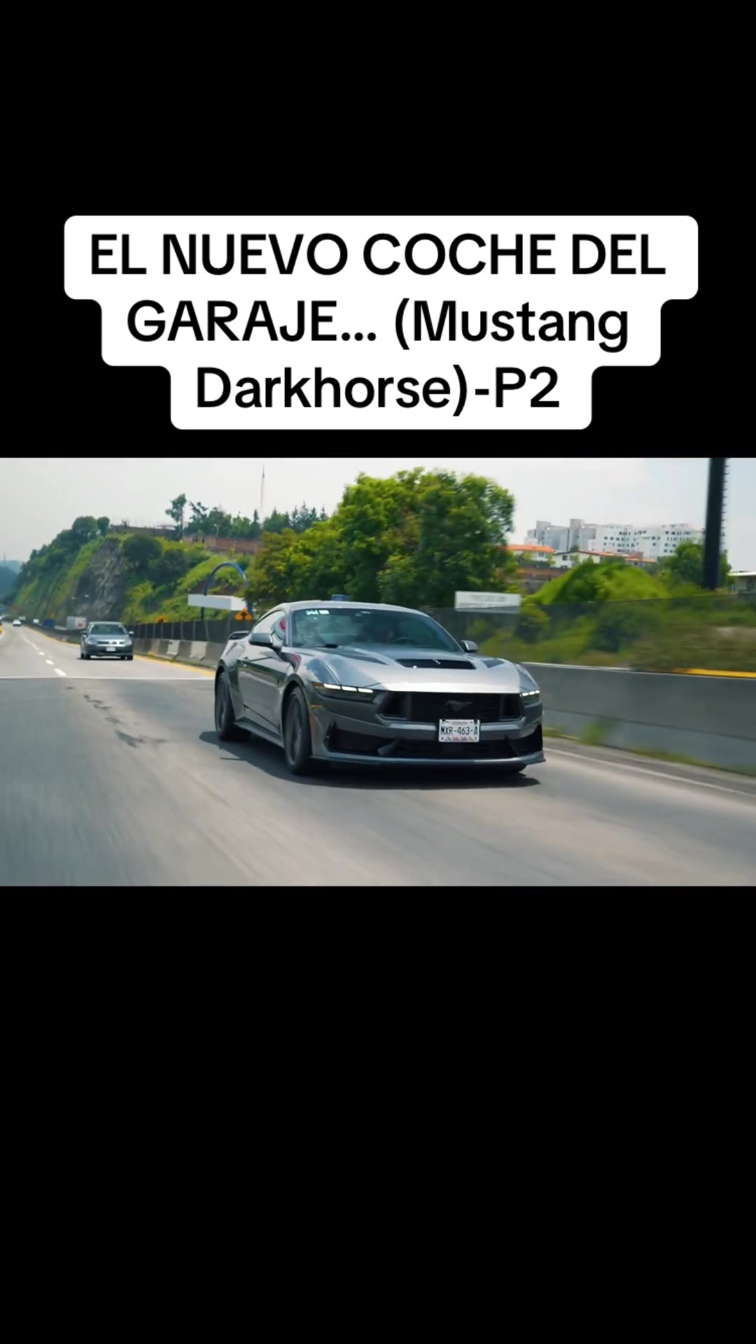 @gaubsksnj UFC