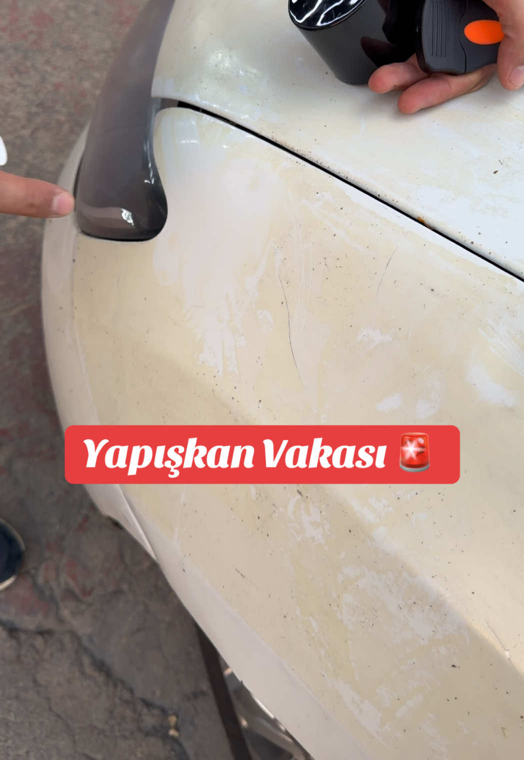@Titocar Diyarbakır