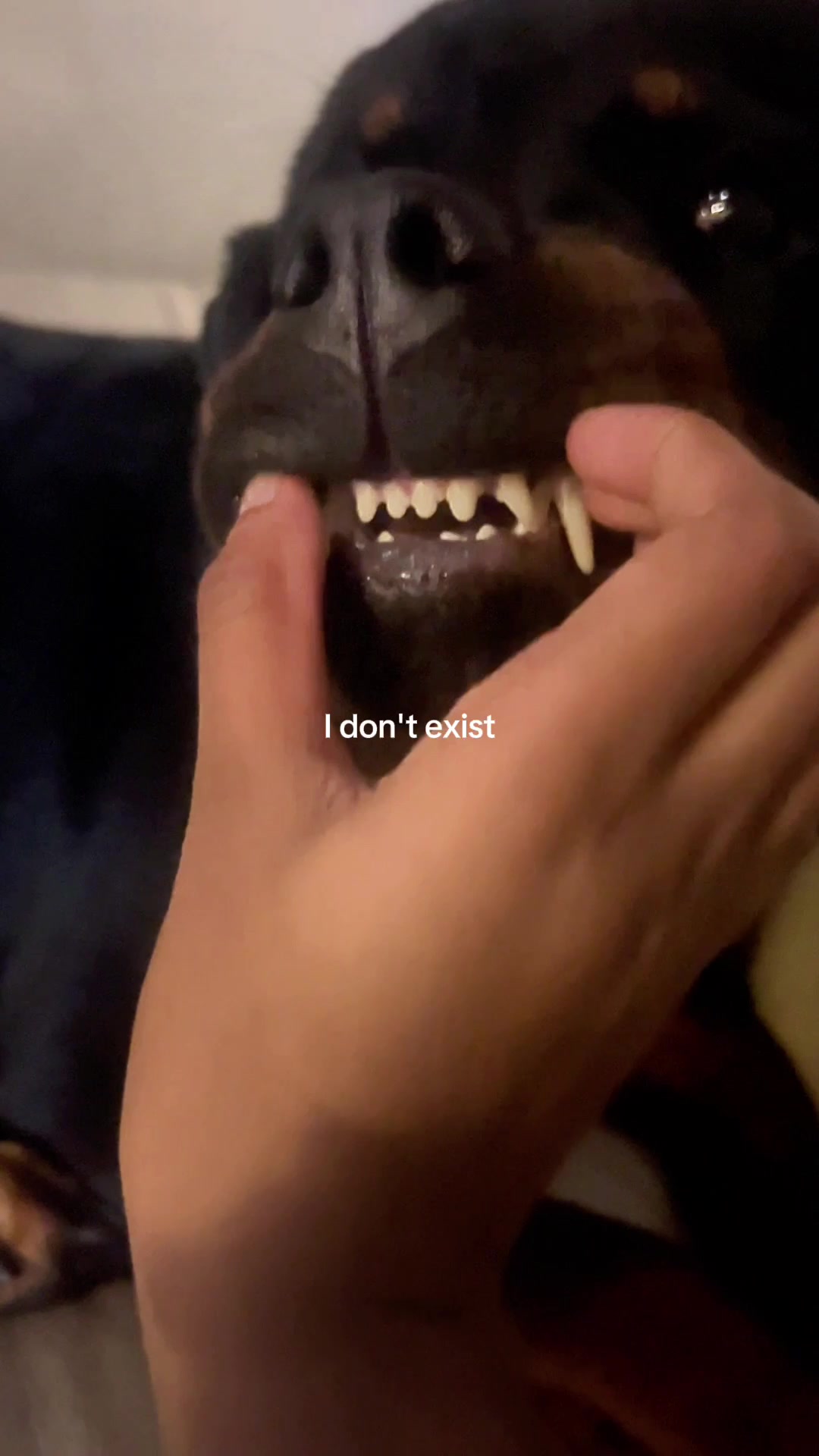 @𝔞𝔫𝔤𝔢𝔩𝔦𝔠𝔞💋!