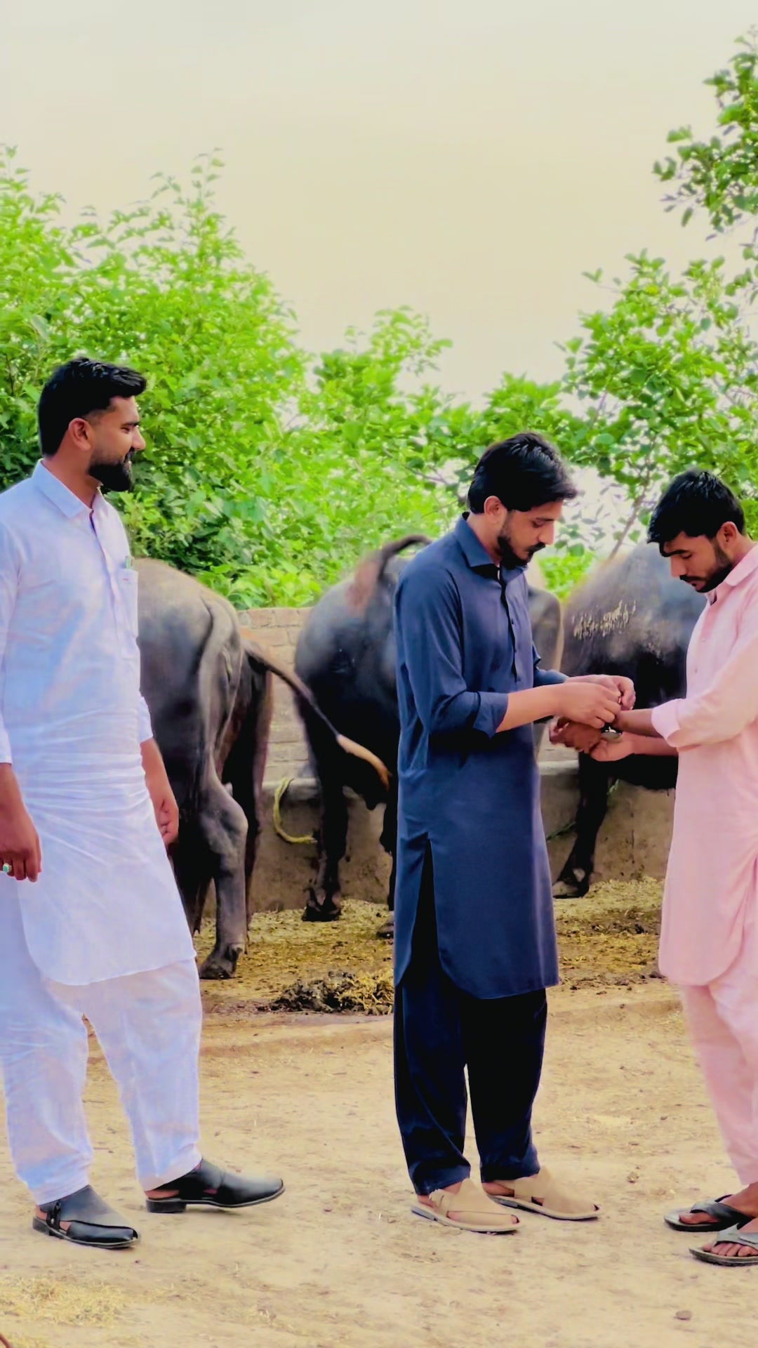 @Malik Numan Dogar 49
