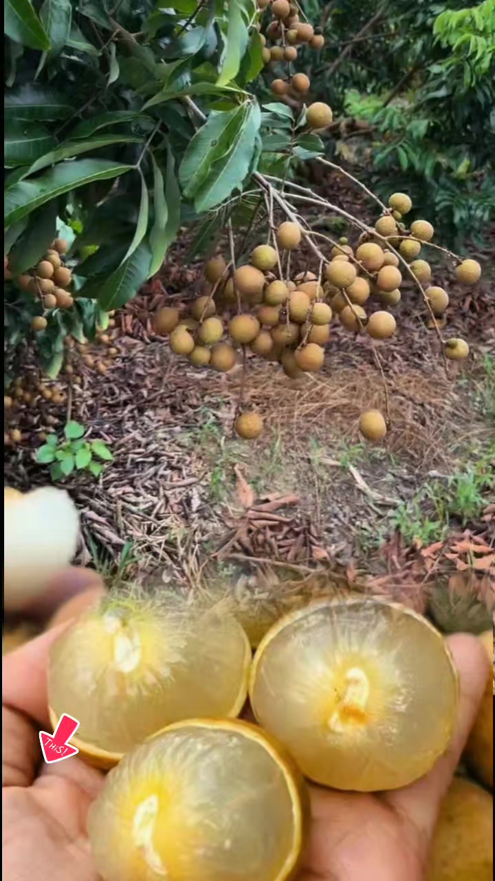 @tới đồ dùng