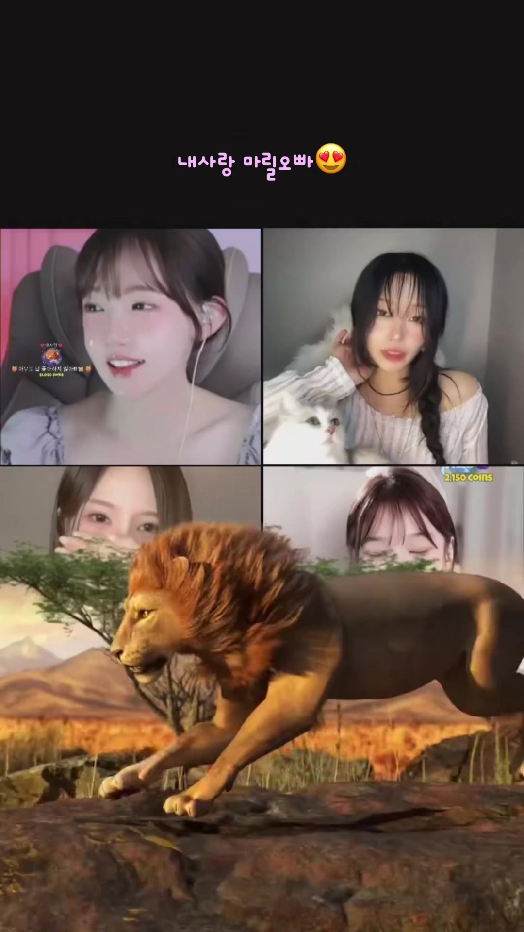 @๐์์ EUNSOL๐น๐