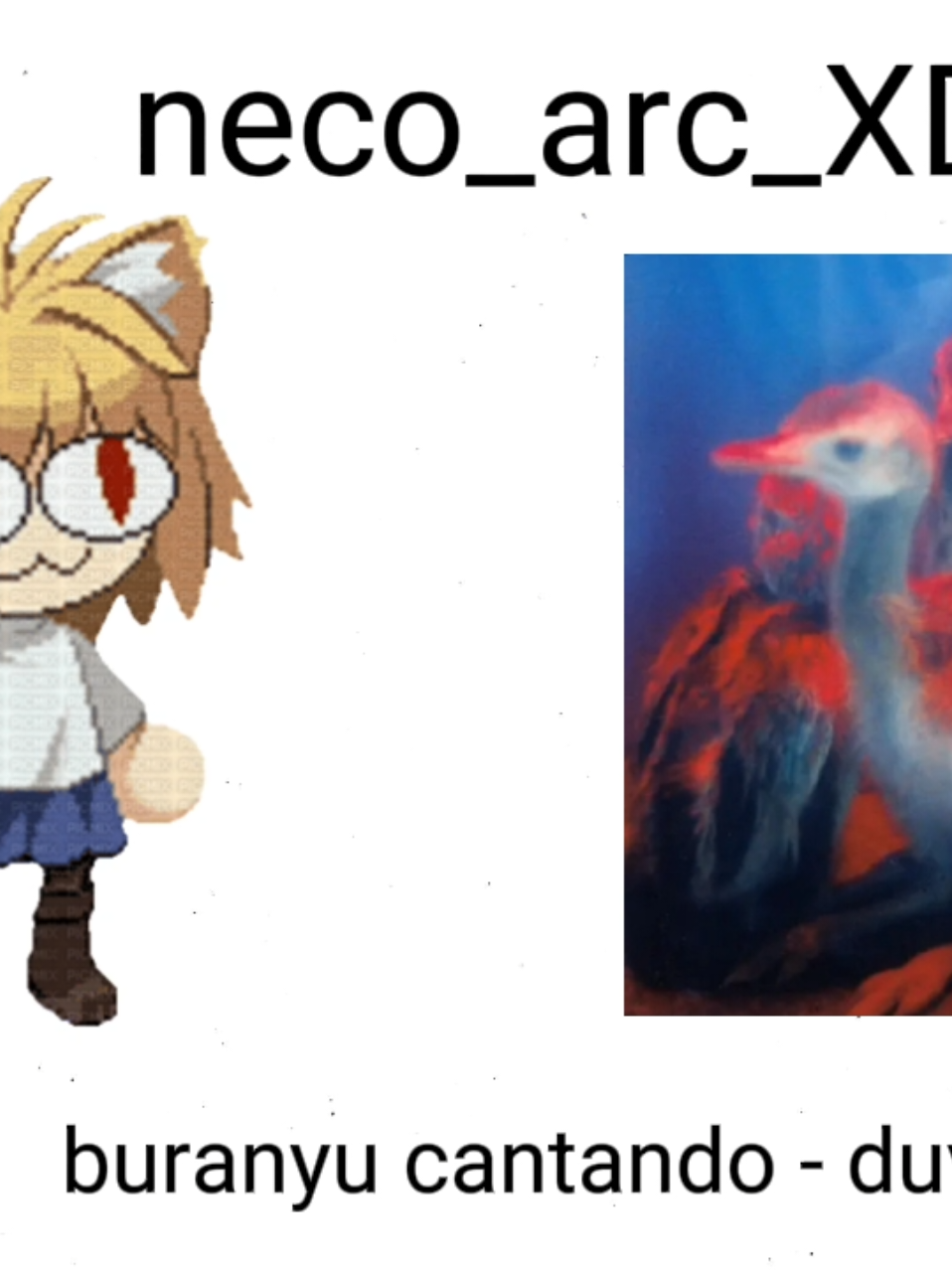 @neco_arc_XD