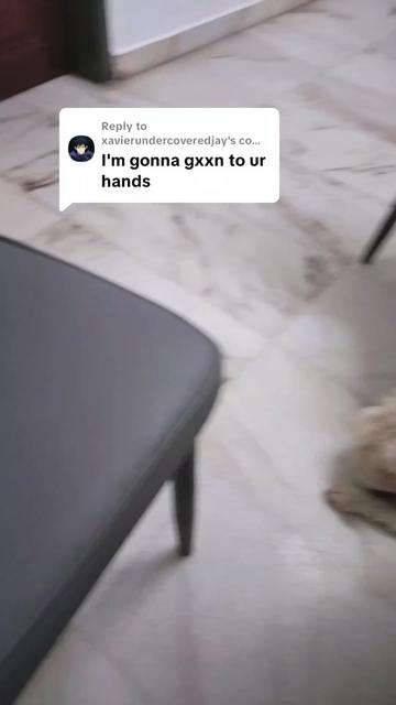 @LowkXin