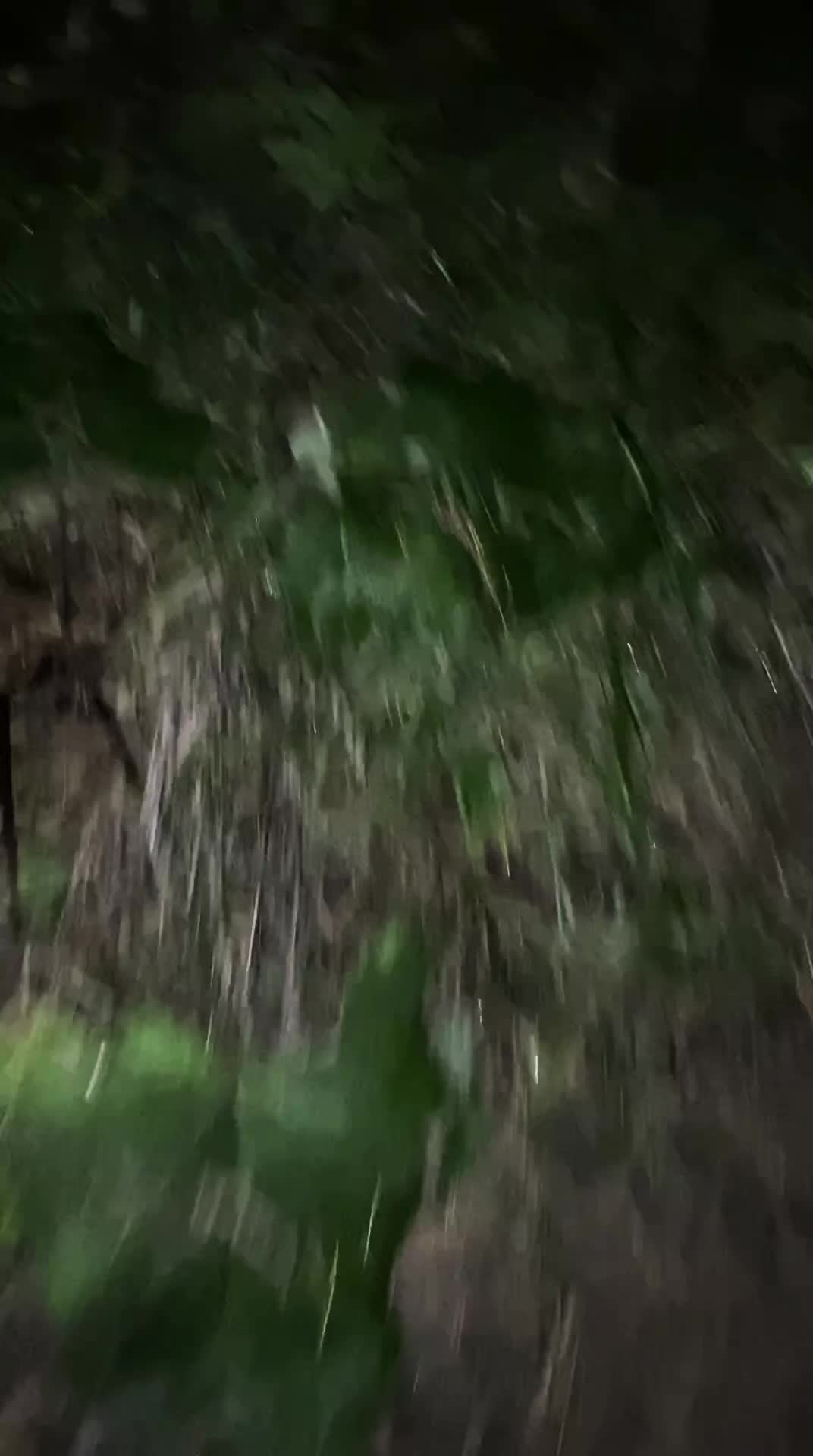 @тгк:Веритас Верум