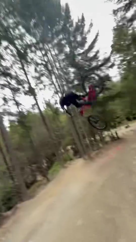 @Crooze Bikes