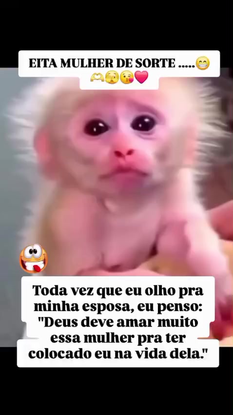 @Rog&eacute;rio Almeida Bico