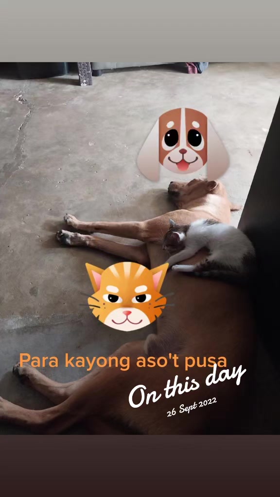 @Tito Mark