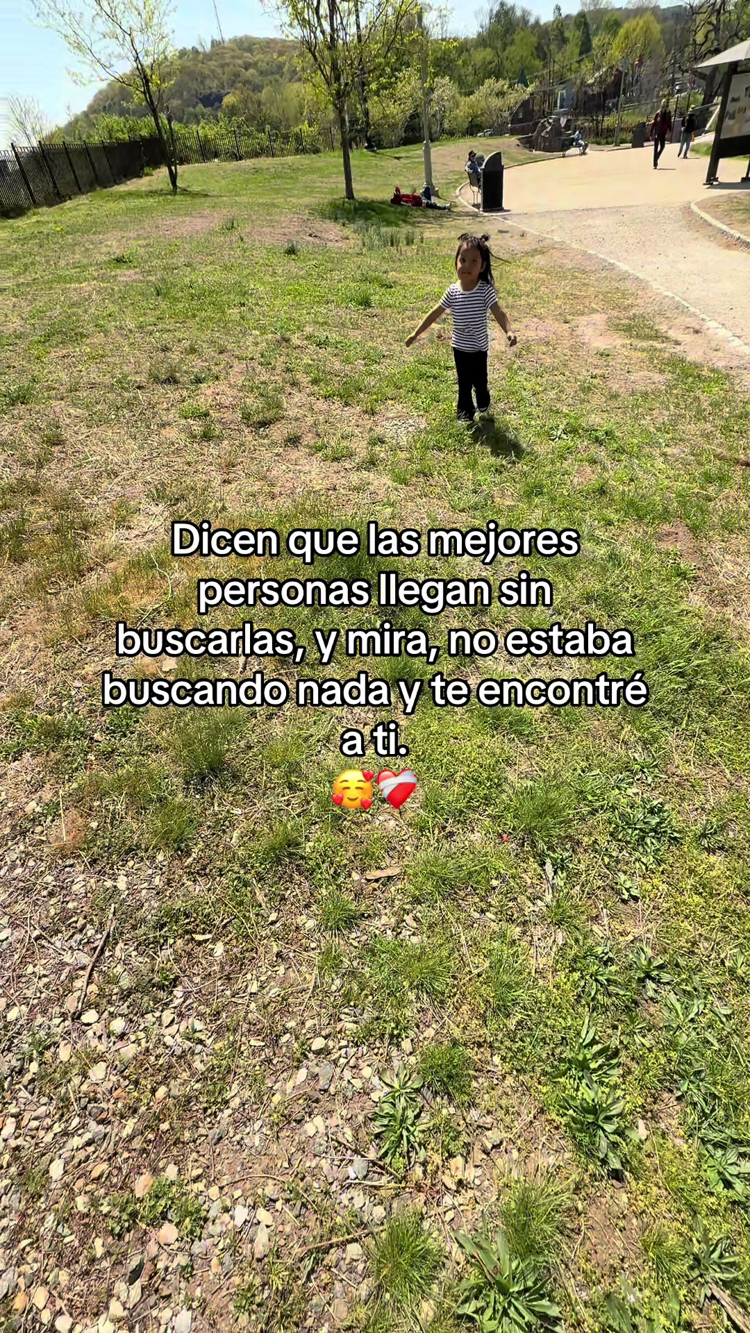 @_ ᥫ᭡