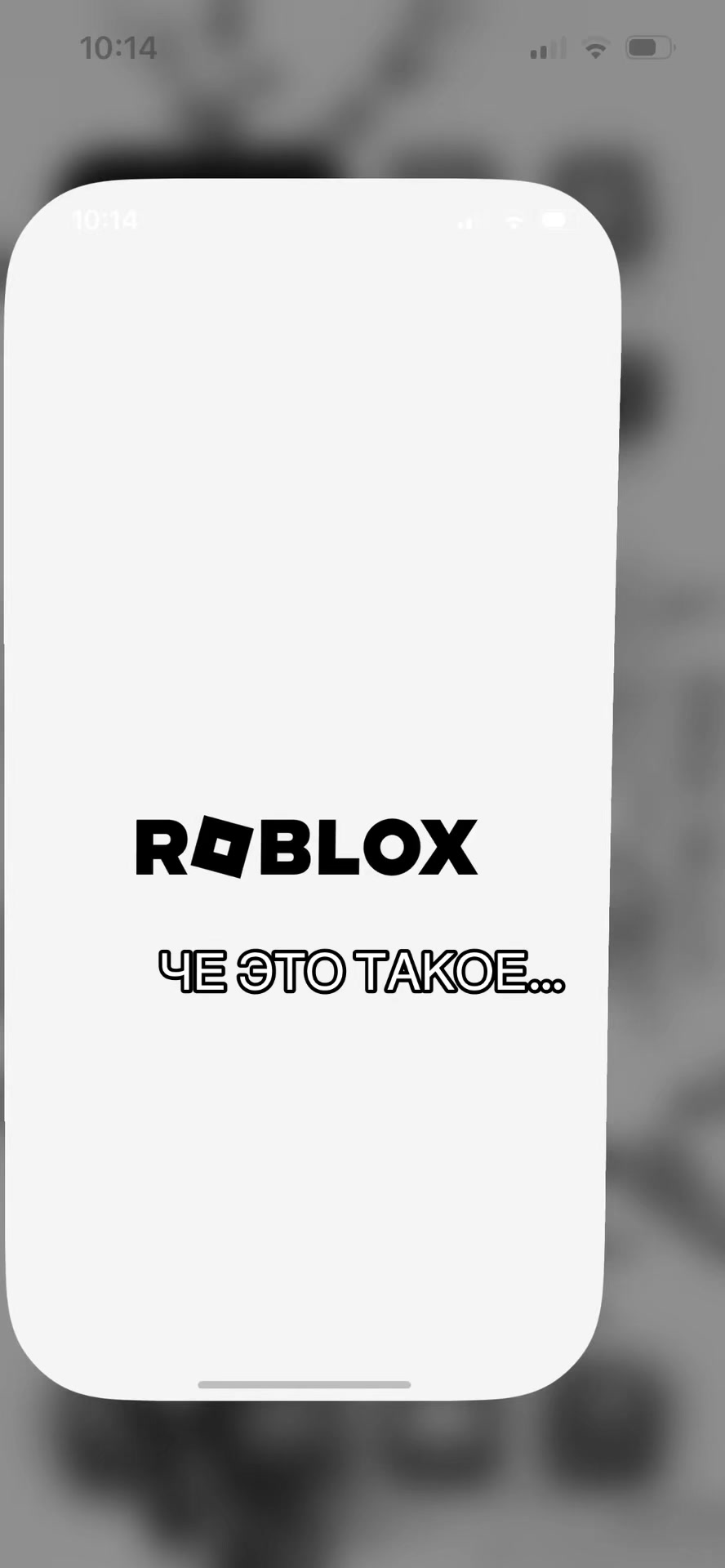 @༄✞︎𝐸𝑥𝑜𝑡𝑖𝑥𝐴𝑛𝑔𝑒𝑙𝑥✞︎༄