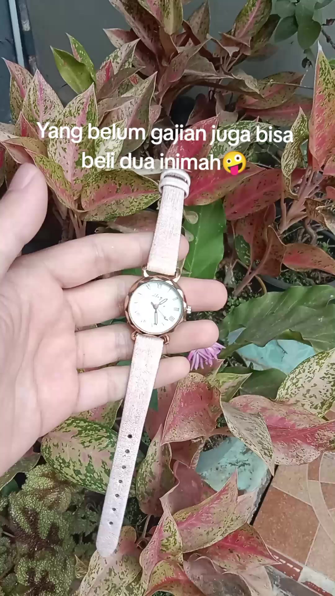 @S-tetik 🛒