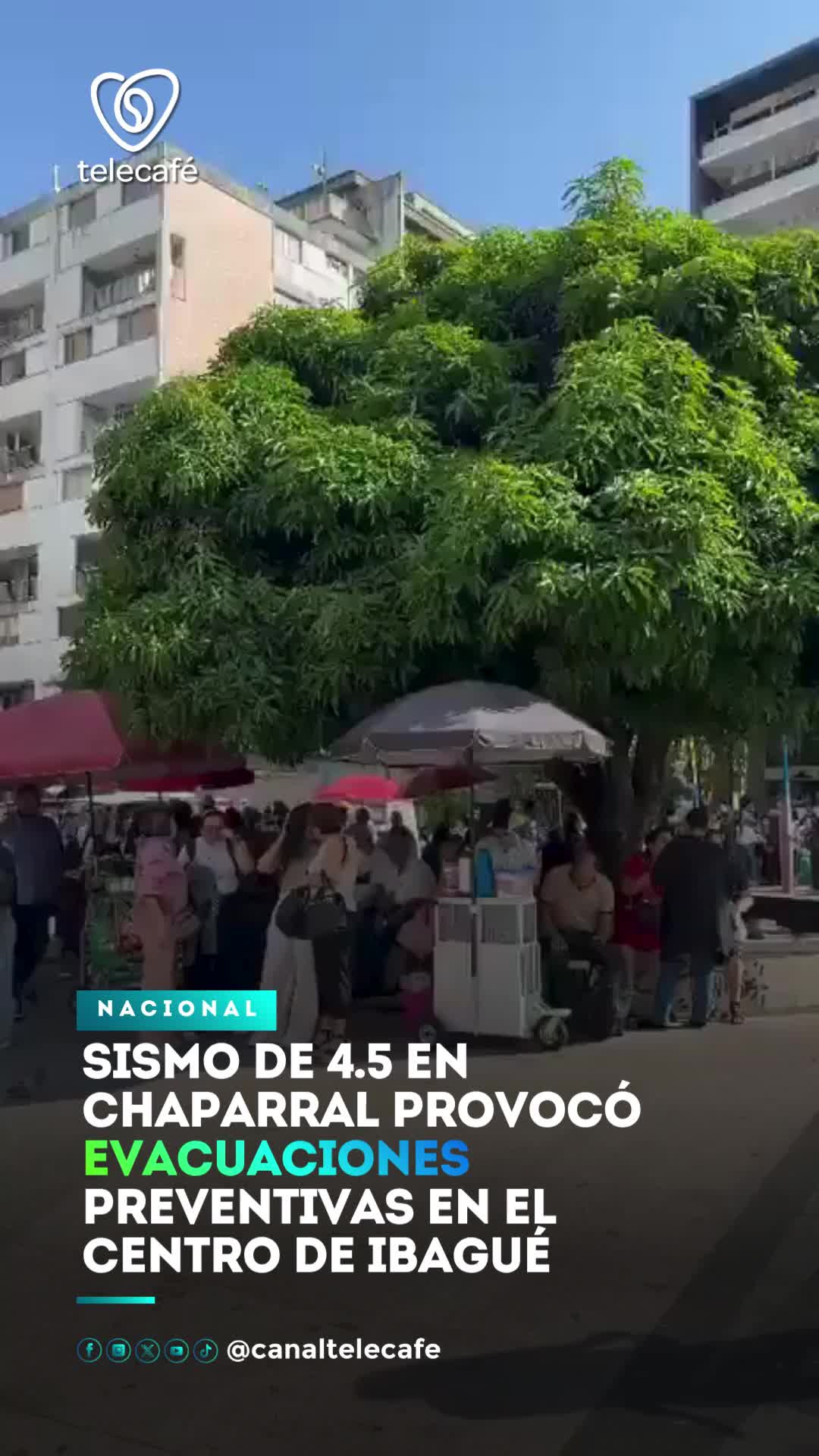 @Canal Telecafé
