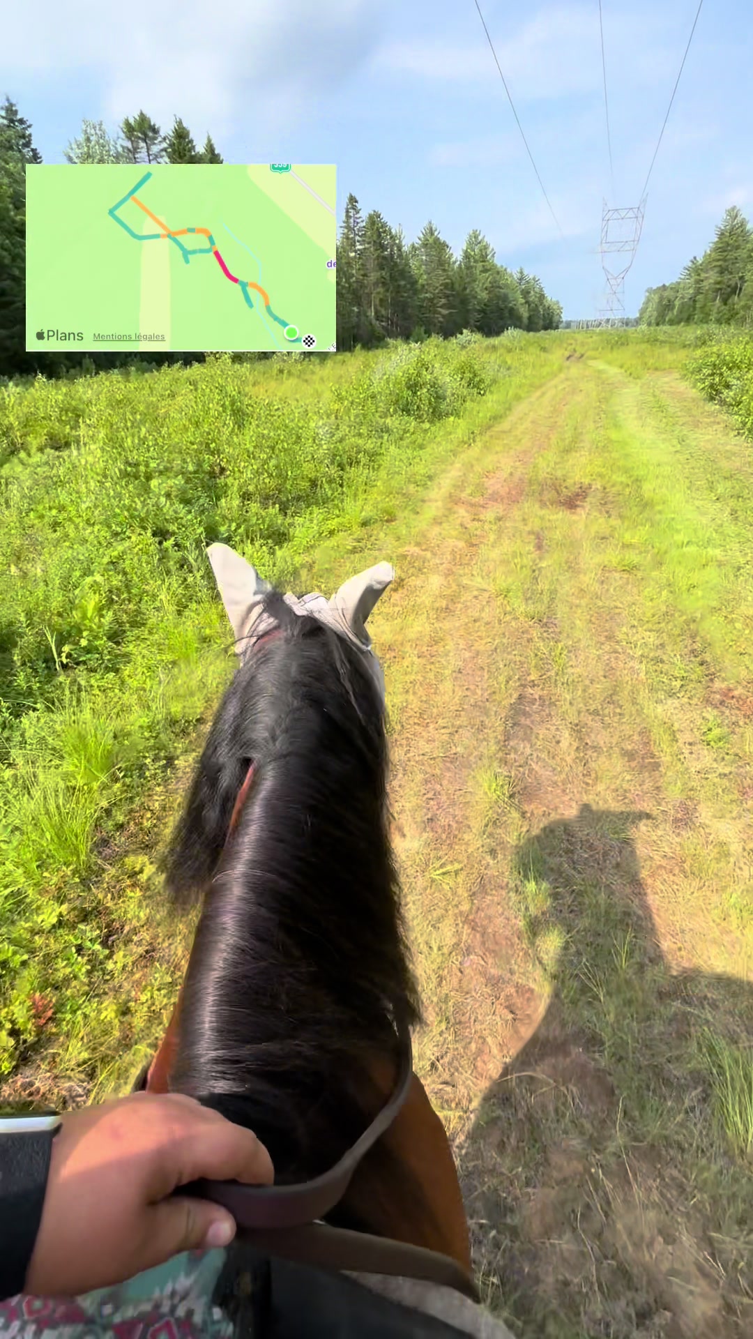 @🐴✨| M&M ranch |🐴✨