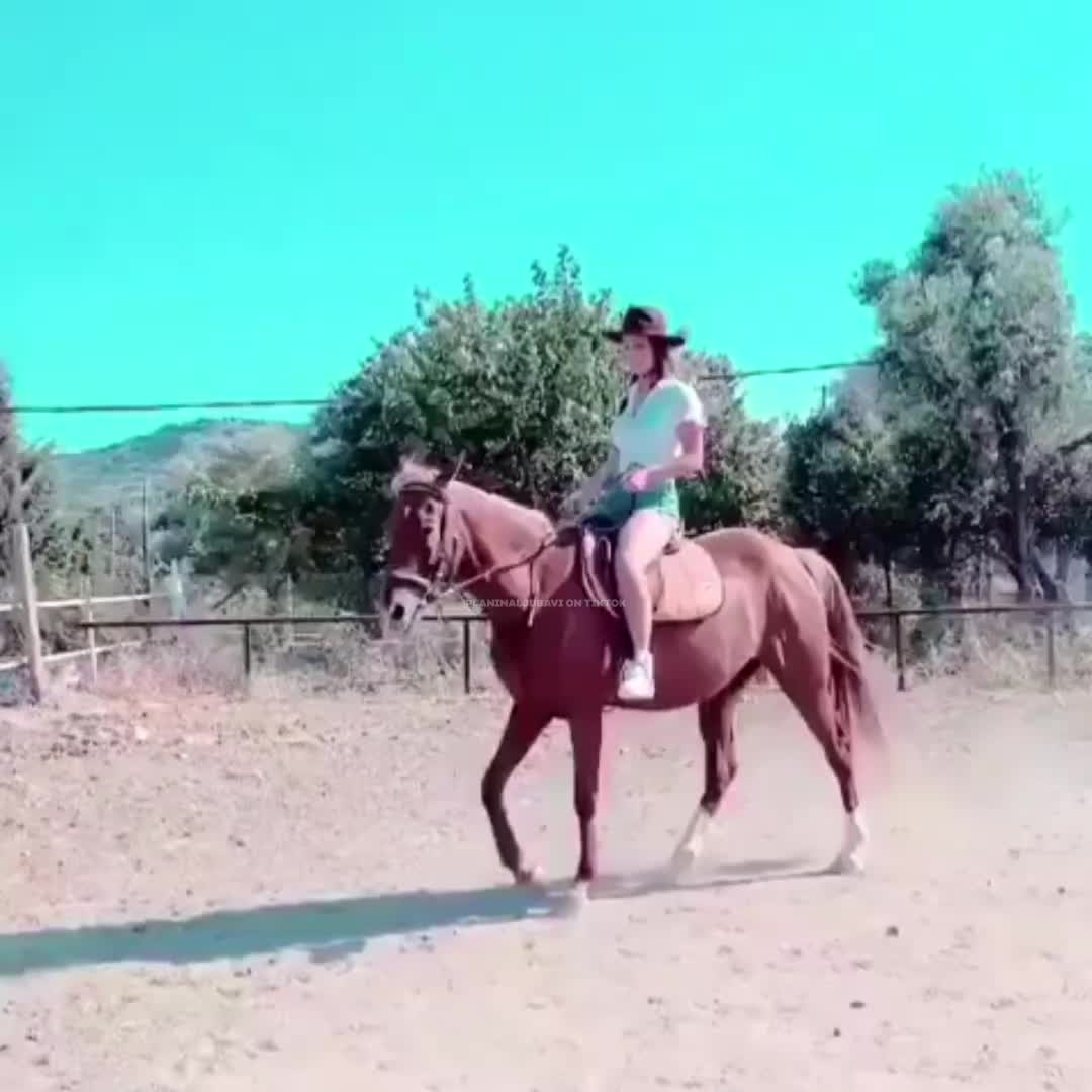 @🦋