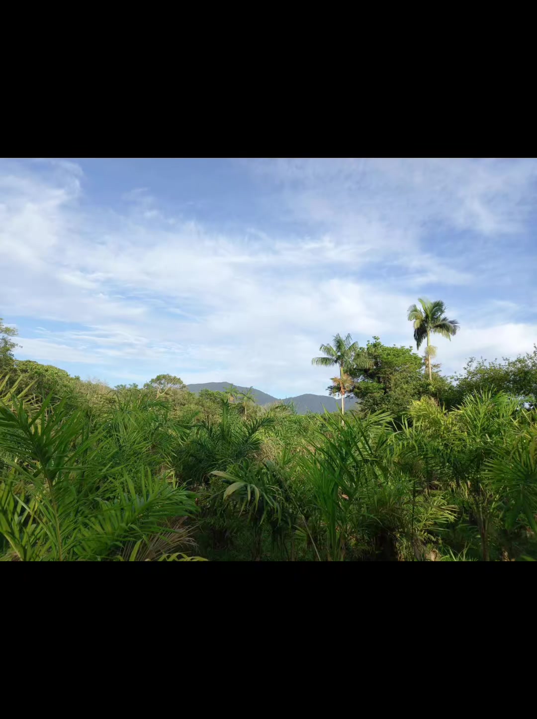 @elis❤️