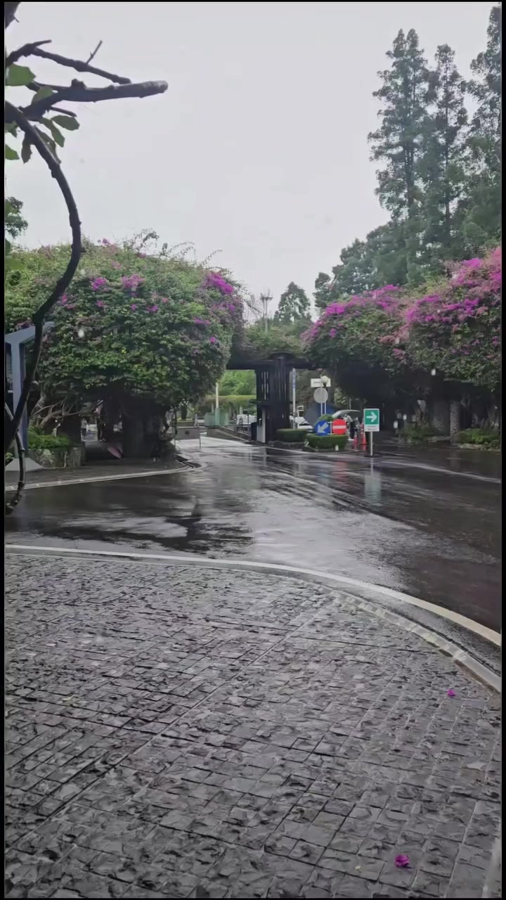 @tiktok tok