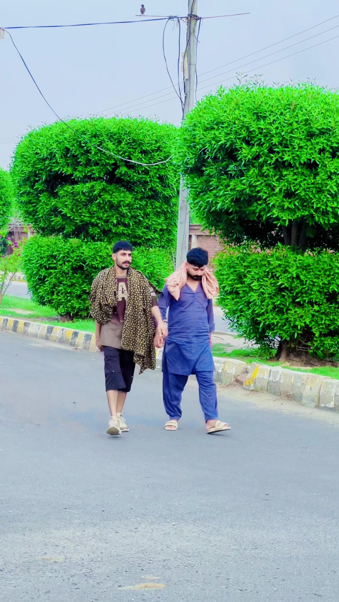 @ملک کاشف💯🦅