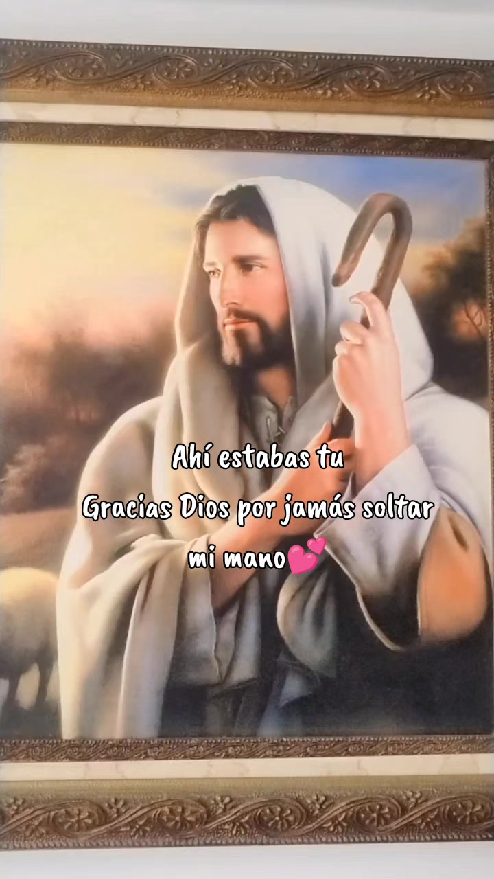 @Omairalidernovaventa